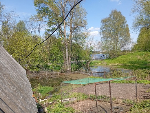 Кинешемец 3 года борется с подтоплением на огороде